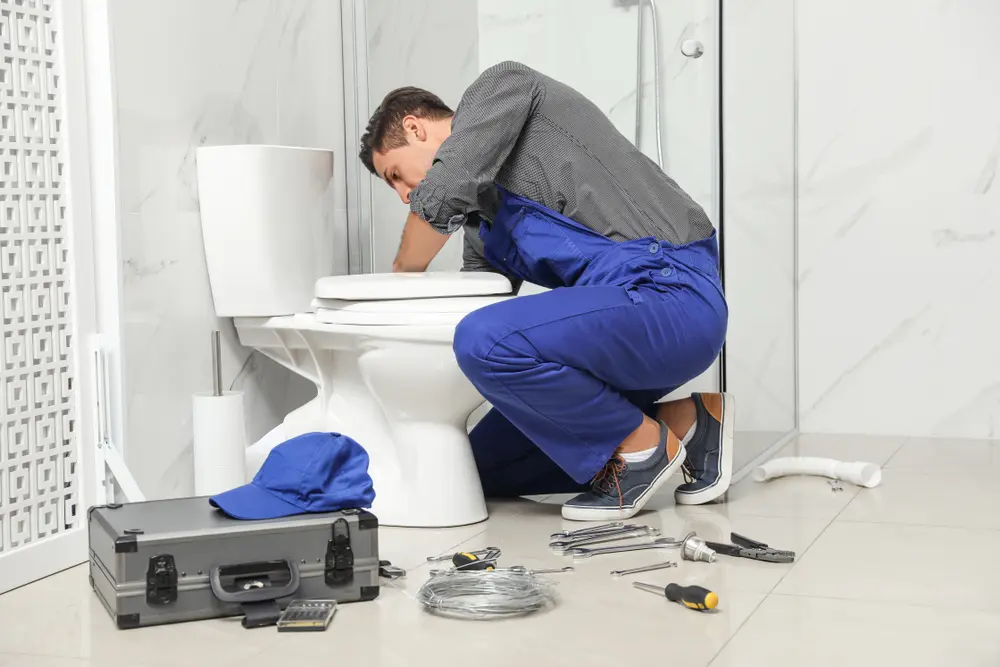 Toilet Repair in Kenton